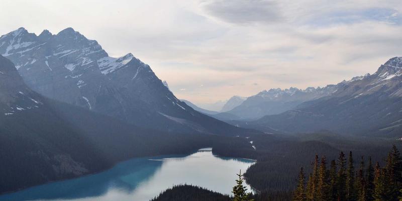 二手乐器售后市场调研：主流品牌保值率与维修网络查询指南