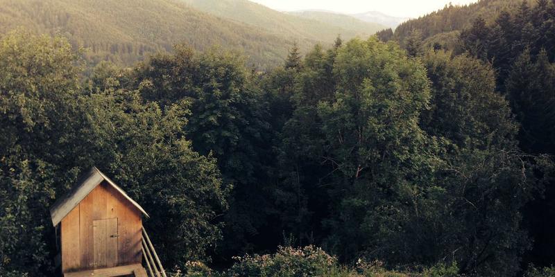 二手乐器维护保养全攻略：从钢琴调音到吉他品丝磨损处理，让中古乐器重获新生