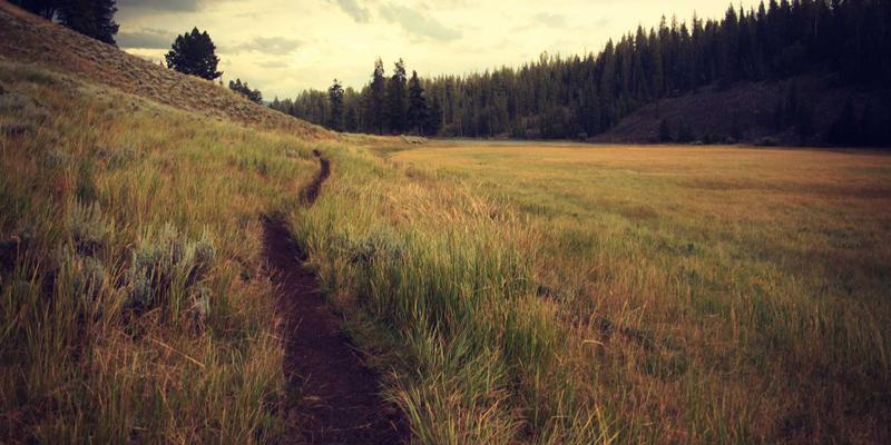 二手交易与中古商店淘货指南：如何检测电池健康度并评估更换成本