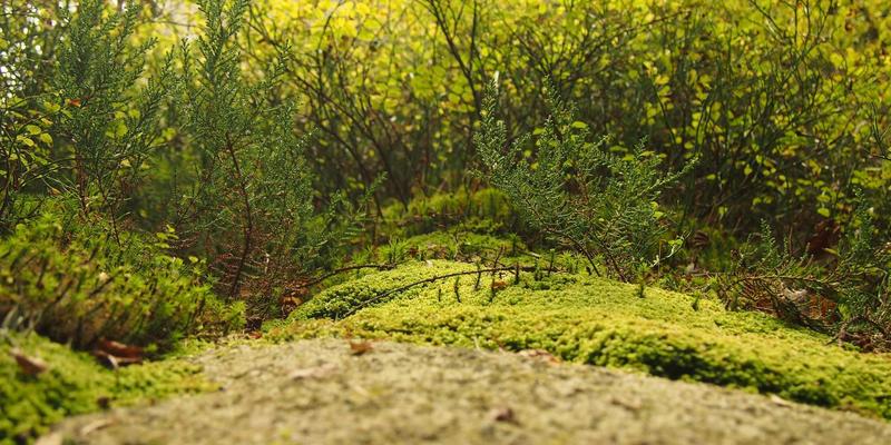 二手商品39：闲置流转如何重塑循环经济新生态