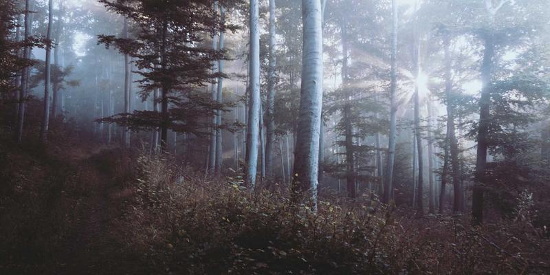 二手商品交易新浪潮：循环经济下的绿色消费革命