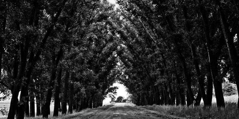 二手商品流转新浪潮：从闲置处理到循环经济的绿色革命