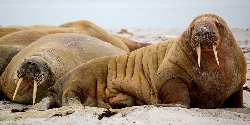 二手汽车购买全流程解析：从验车技巧到过户手续办理，助您安心完成二手交易